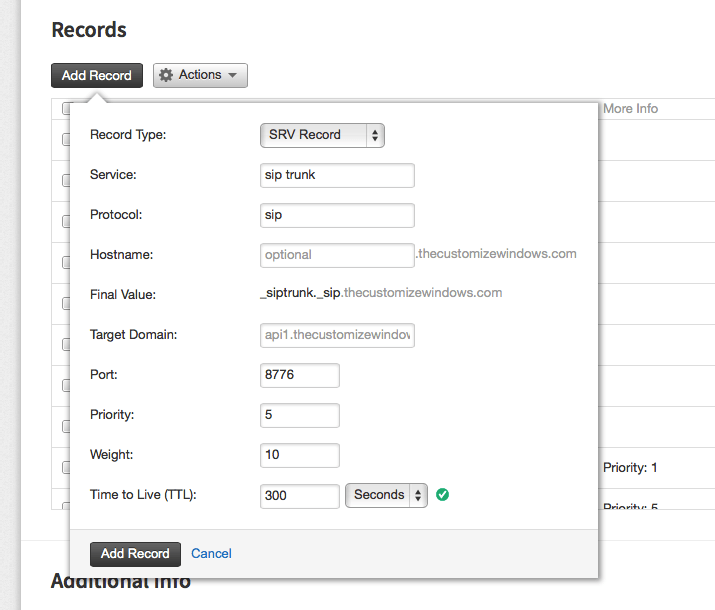 How to add a SRV record